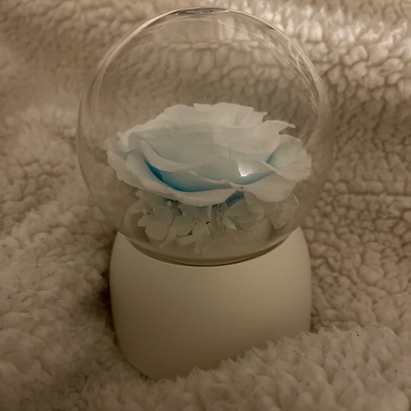 Other - Flower music globe